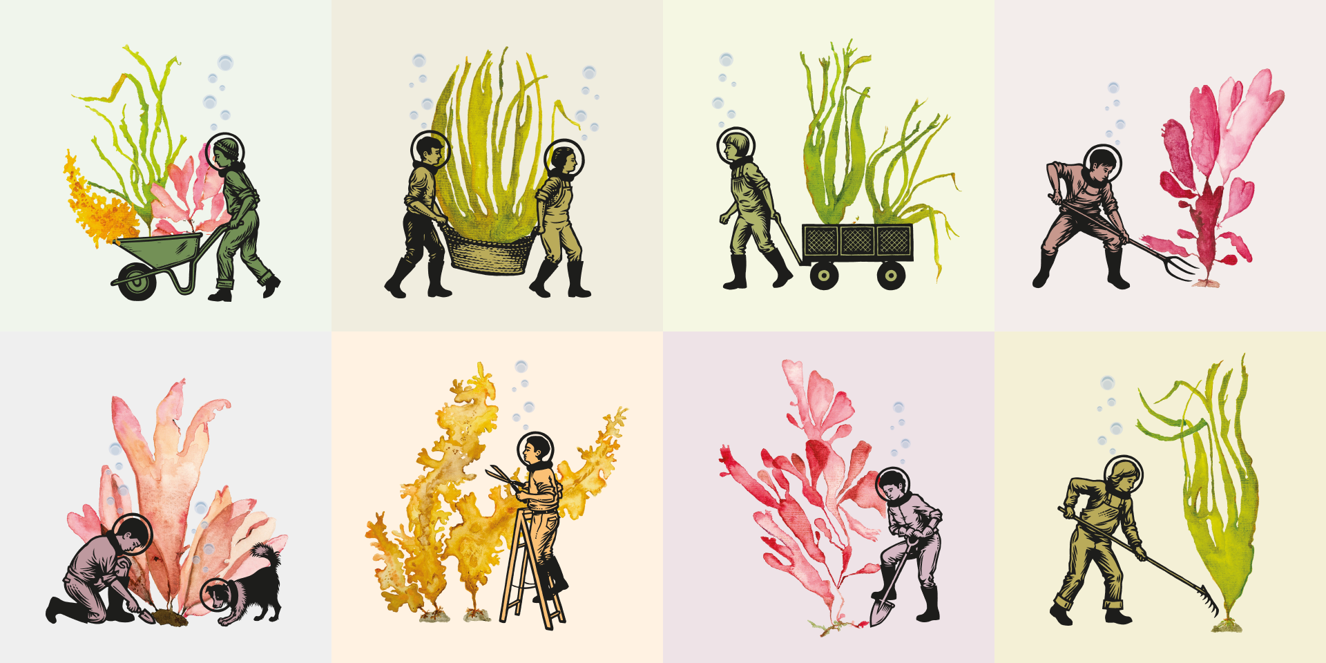 Group of illustrations