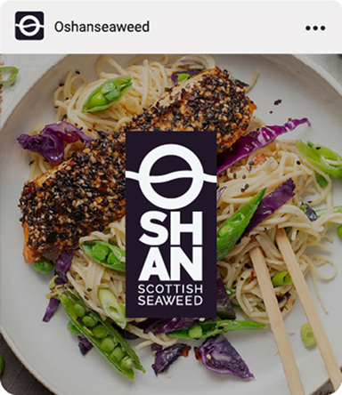 Oshan Scottish Seaweed social post